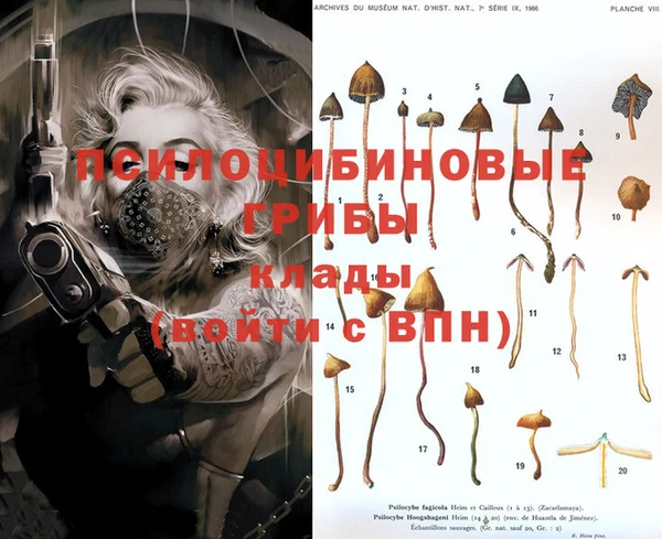 кокс Лихославль