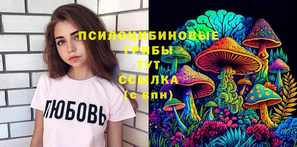 ECSTASY Липки
