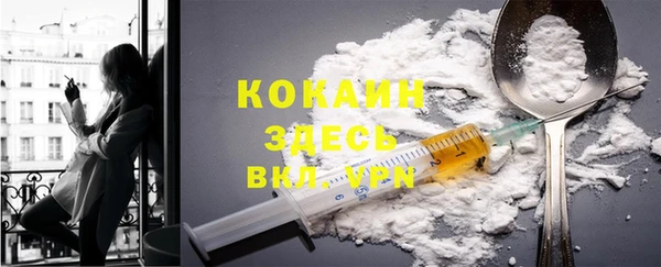 ECSTASY Липки