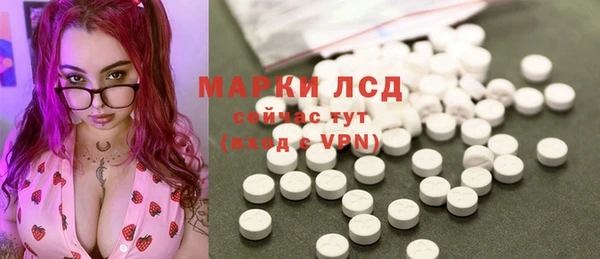 ECSTASY Липки