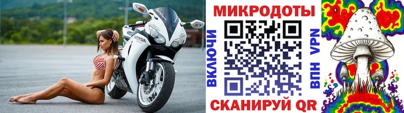 Купить  Ижевск  Галлюциногенные грибы мицелий 